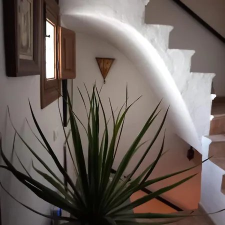 Casa Mas Town House Rooftop Terrace & Views